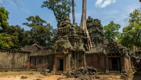 Ta Prohm Tree Roots and Temples, Siem Reap, Cambodia